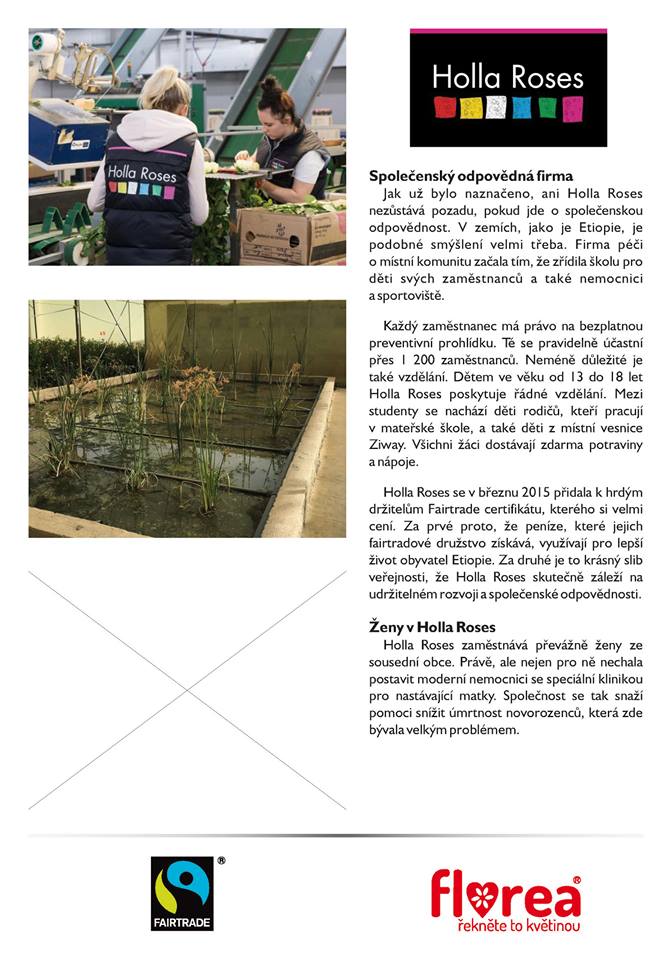 Nice to show our Holla Roses 12.-14.1.2018 Florea exibition in Prague. In the beautiful area of Charles University the concept is to show different types of roses and, more over the story of the grower. Nice weekend!!