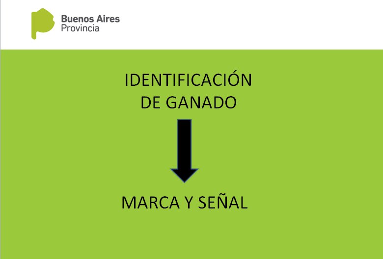 alianzaganadera's tweet photo. ¿ Queres saber como registrar una marca ? 🐮🐴 https://t.co/nnSuAGZtAE