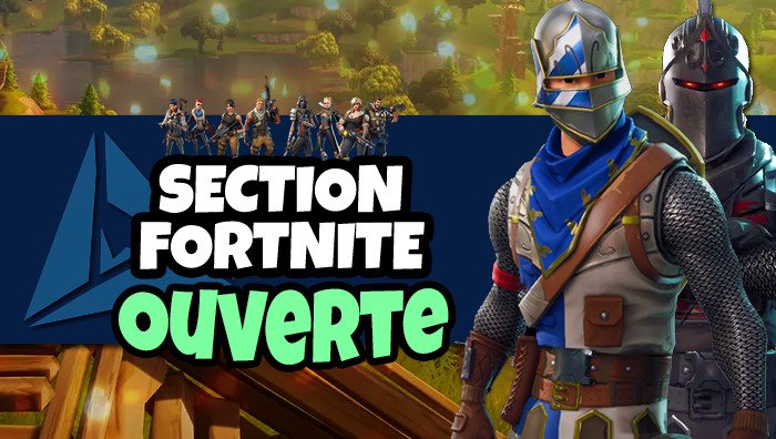 Section fortnite