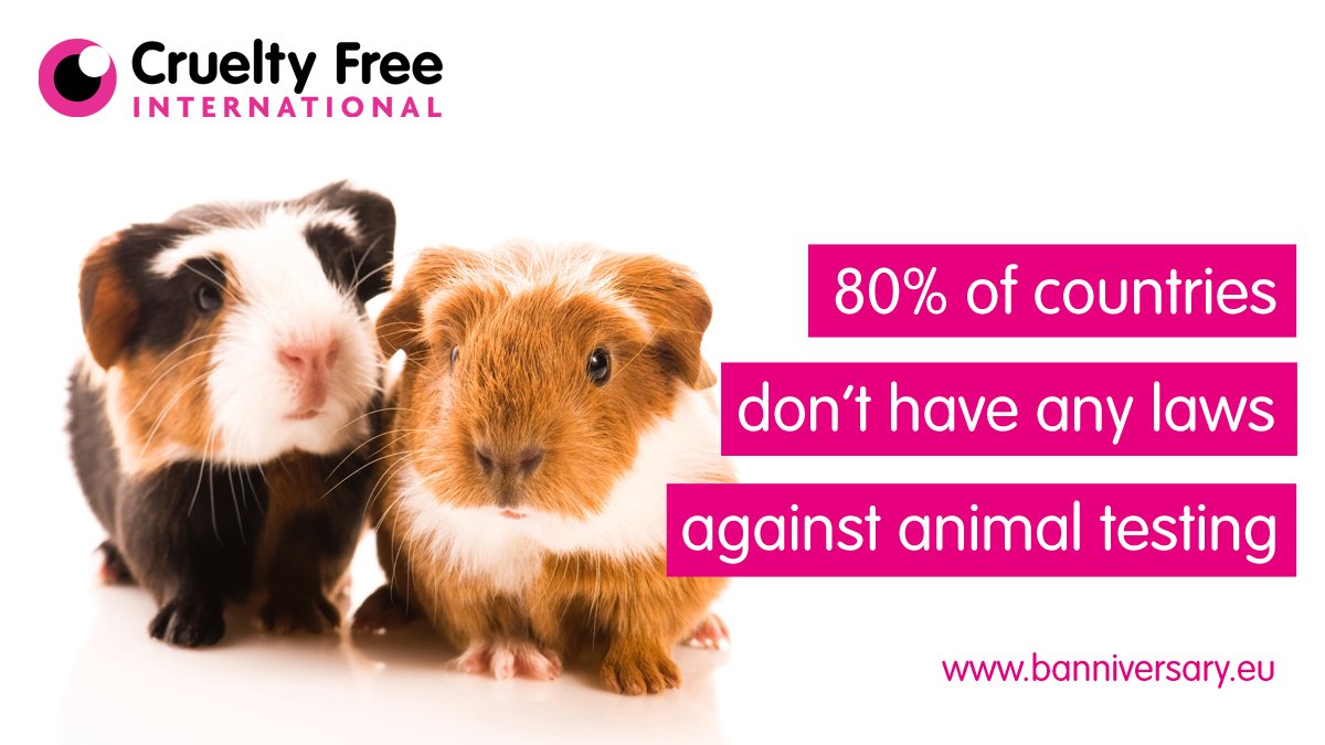 CrueltyFreeIntl's tweet image. #FridayFact Studies demonstrate that animal tests predict human reactions by only 40-60% whereas substitutions are accurate 80% of the time. Thanks EU for putting an end to animal testing in 2013 #banniversary bit.ly/Banniversary