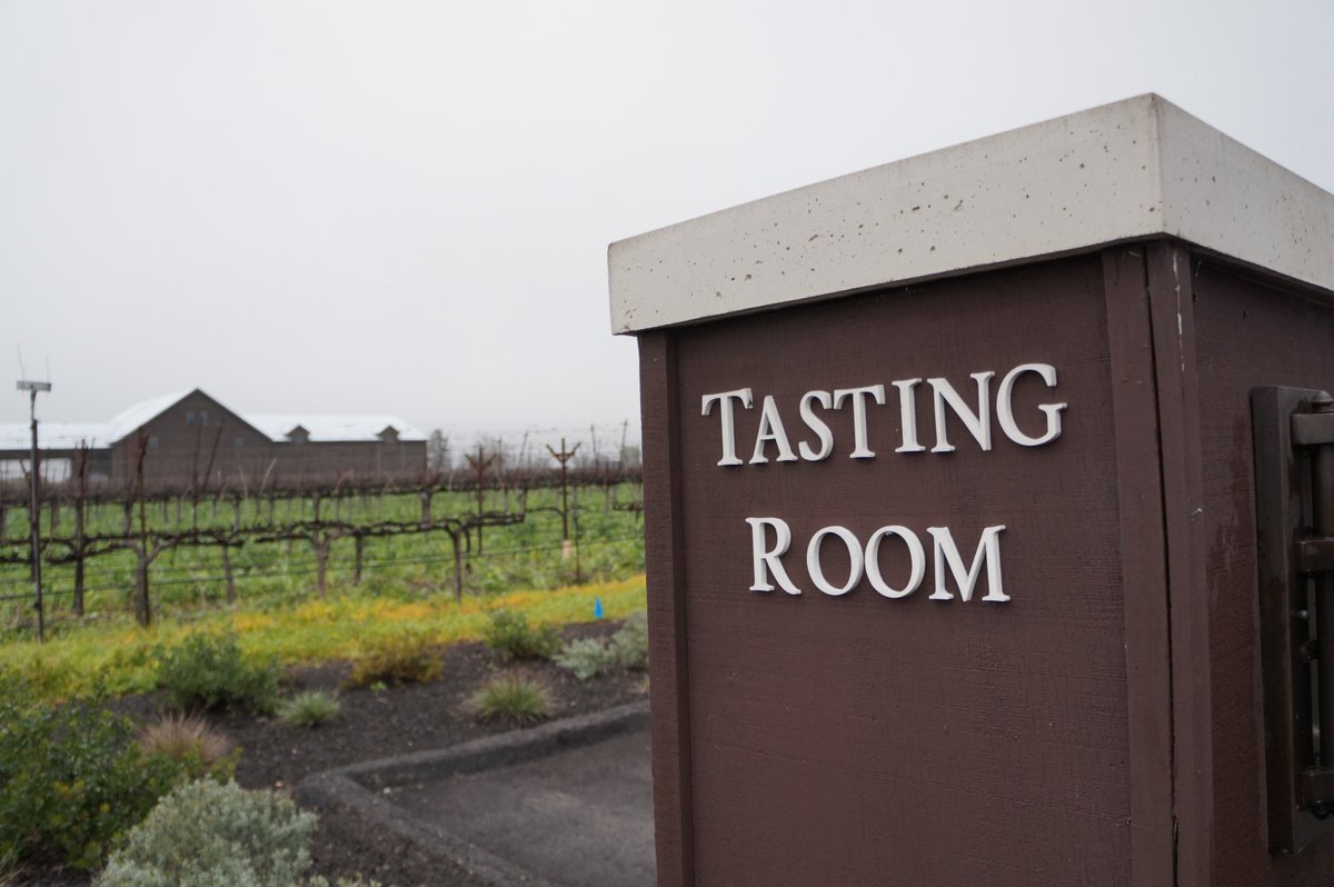 amylieberfarb's tweet photo. Walking the vineyards early in the morning while visiting California's #Wine Country. The fog is thick here... which helps make the wine taste sooo good!! CHEERS all from @SequoiaGrove #Napa #NapaChats https://t.co/vZTnnOxkUC