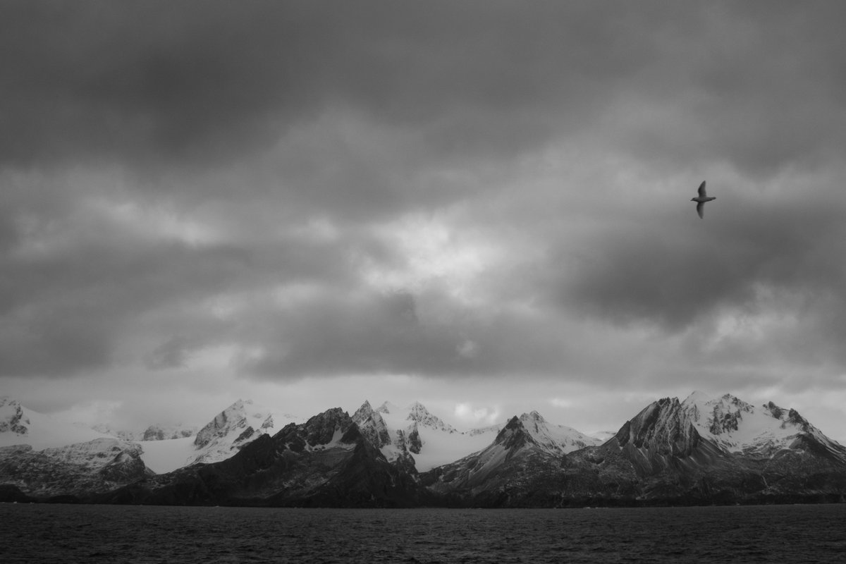 BergAtSea's tweet photo. Looking forward to be heading south again with @OceanwideExp. Our destination is the Antarctic Peninsula and eventually South Georgia, some of the most spectacular places on the planet! https://t.co/Aejs2ABTE7