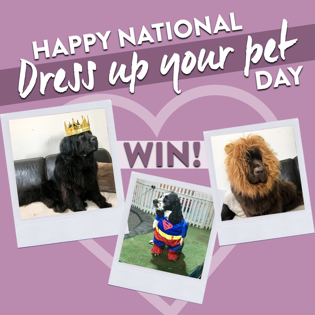 boohoo's tweet image. 💜🐶 Happy #NationalDressUpYourPetDay 🐶💜
 
It's #competition time huns! Retweet, follow, and tweet a pic of your pet all dressed up using #boohoo for the chance to #win a £250 voucher! 💸💸 

Winner announced Monday! 🤞🐱🐶 #giveaway
