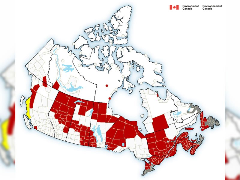 Welcome To A Canadian January dlvr.it/Q9yzT3 https://t.co/YQ57AeIF6O