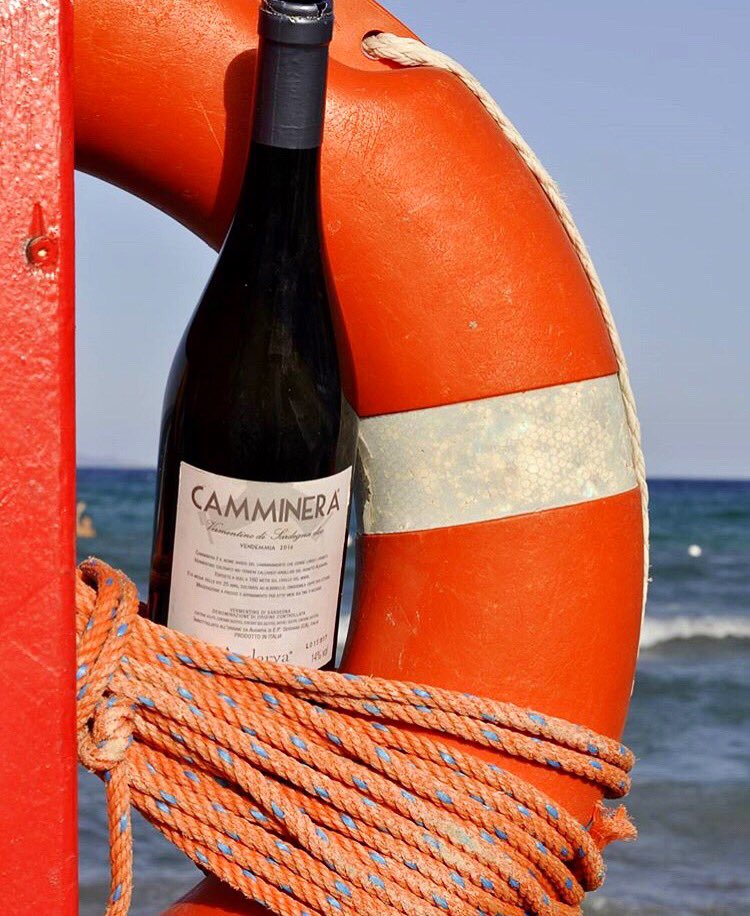 Summer memories 
#wine #winetasting #camminera #winelovers #audaryavini #vermentino #audarya #summer #sardegna