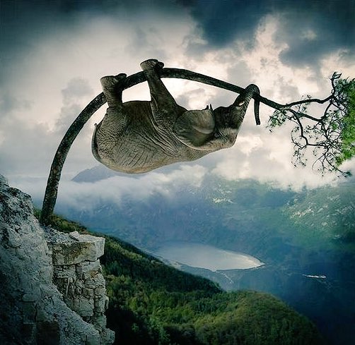 HimalayanGunz's tweet photo. For as long as you carry your ID
You’d never get anywhere
In the spellbinding realm of Spirituality https://t.co/7CCD4yiesL