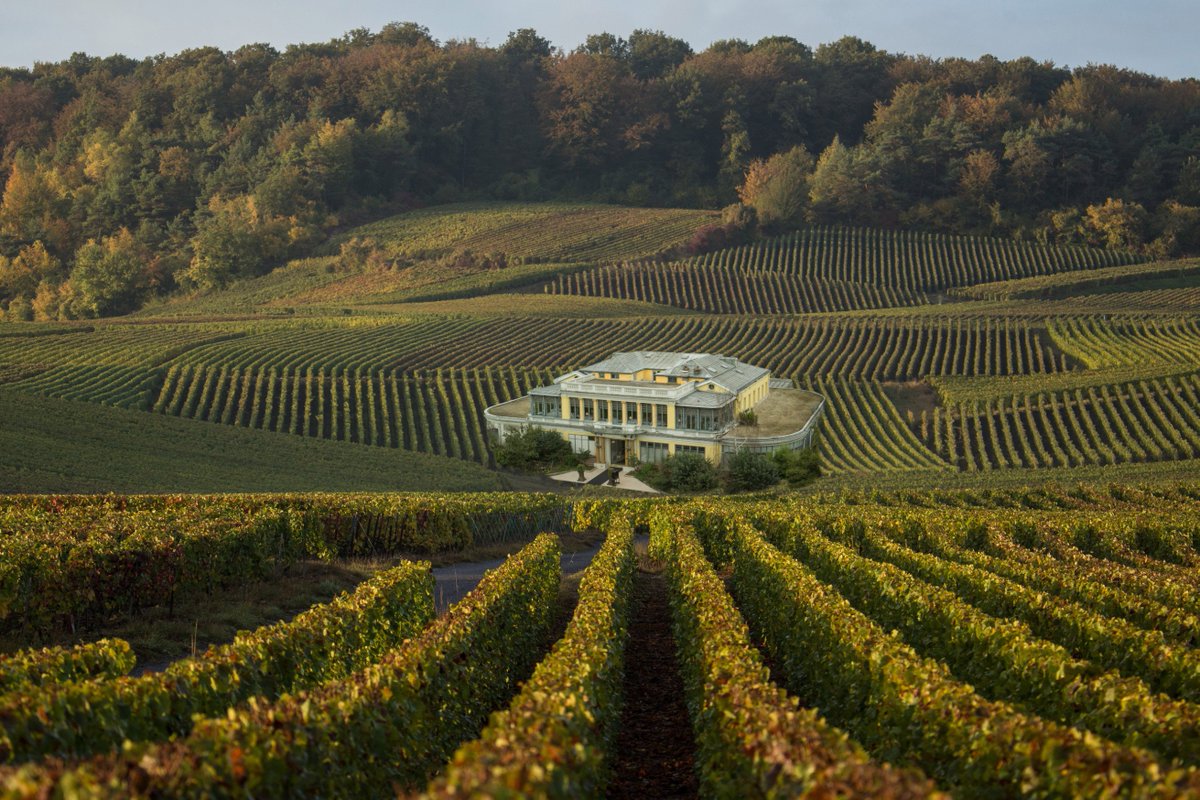 Pour nos amis parisiens, vous pourrez nous retrouver dimanche au salon  des vins de La Vallée du Rhône et de la Truffe au Pavillon Ledoyen ***  
 C'est dimanche et il reste encore quelques place pour cette belle dégustation, billets sur 
 salonvintruffeparis.com/billeterie