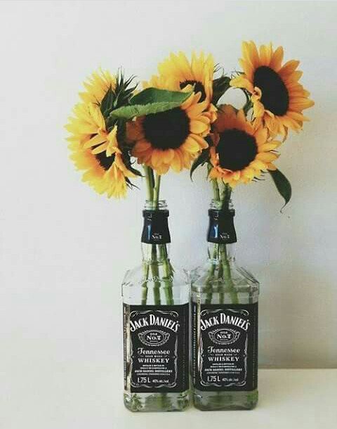 DAXHUND_APP's tweet photo. Sunflower 🌻🌻🌻 https://t.co/1ujfuNITZP