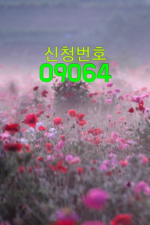 하나님의 사랑과 은혜를 얼마나
경험하시며 사시나요? 참 진리의
열린말씀을 배워보세요. 날마다
은혜의 시간 경험하게 됩니다!
#성경공부 #주은혜
성경공부 신청번호 09064
bit.ly/2oZsf5S