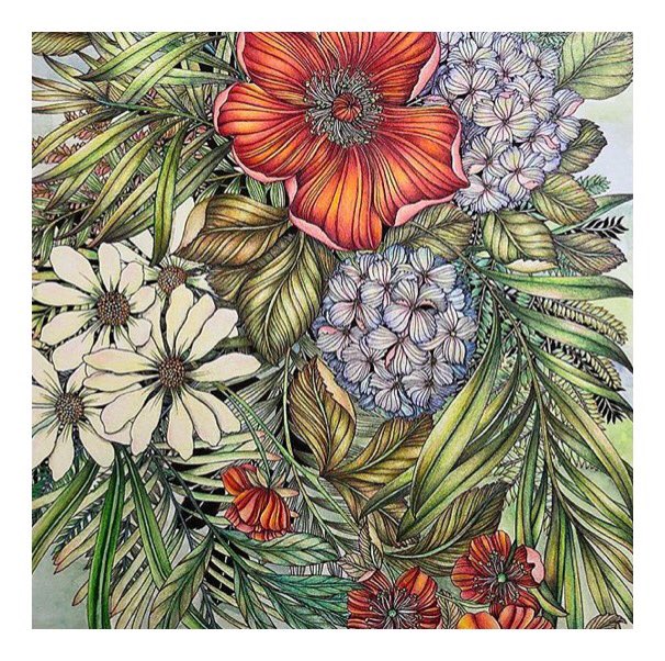 LeilaDuly's tweet photo. Details from my NEW ‘Wild Garden’ drawing coloured by @lousycolorist -download your own copy to colour at https://t.co/Nd5pNui6XS #leiladuly https://t.co/iumnBp6VX3
