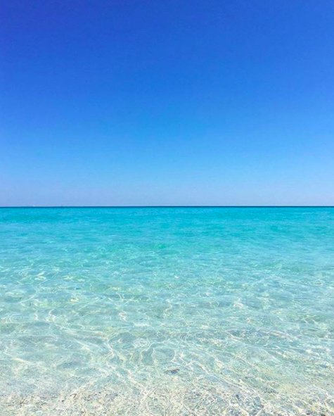You could say we have the winter blues. #miamibeach #galesobe