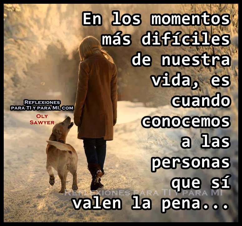 LDSAlvaro's tweet photo. https://t.co/PtP9zPEiZk
