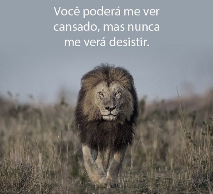 santosforte50's tweet image. Boa tarde.!
#ParceirosBeta