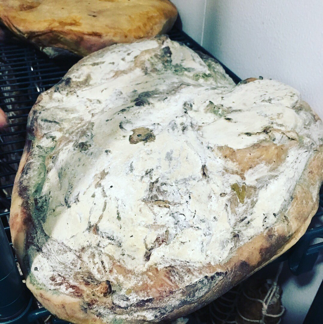 BlackbellyCO's tweet photo. What’s happening behind the butcher curtain now? Nate is curing meats with Koji, the same fungus used to ferment soybeans and make miso. It accelerates the process from 14 to 2.5 months, with the same delicious result 🙌🏻🧐 #puregenius #curedmeats #jamon #curingchamber https://t.co/qyq9Sfrojc