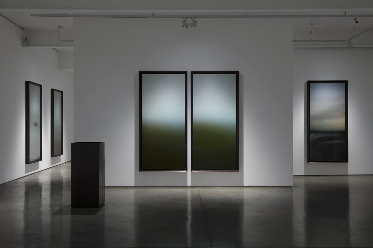 Flowers Gallery tweet media