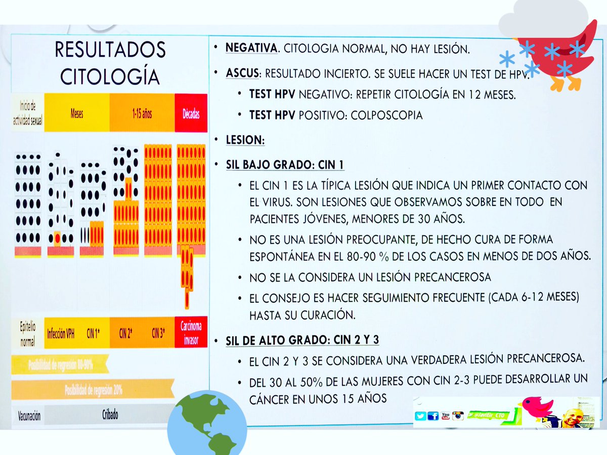 Javi_matron's tweet photo. Os dejo un resumen final sobre la citología y sus posibles resultados, ademas de un gráfico sobre la evolución del #vph desde el contagio. Espero q os ayude. Si queréis profundizar, os dejo un link muy interesante: https://t.co/Vwdd9ARRds #eir #eir2018 #mir #opozulo #citologia https://t.co/Ibl2Xyng6h