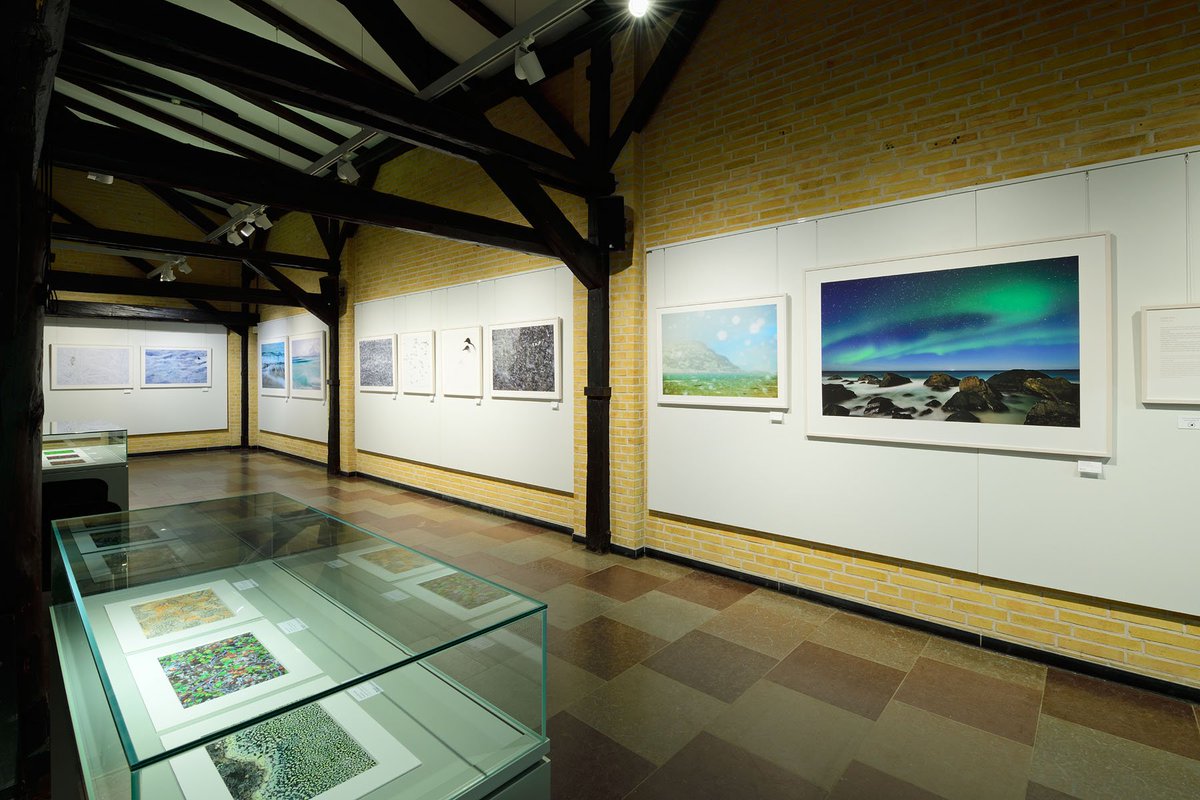 HalbeRahmen's tweet photo. Four years, four countries, two photographers - a photographic homage to the light of the North was created, which is now exhibited in more than 50 HALBE magnetic frames at the Stadtmuseum Schleswig. https://t.co/9O9eDBdTlm  #northernlights #photography @sandrabartocha https://t.co/HFYKEv2x82