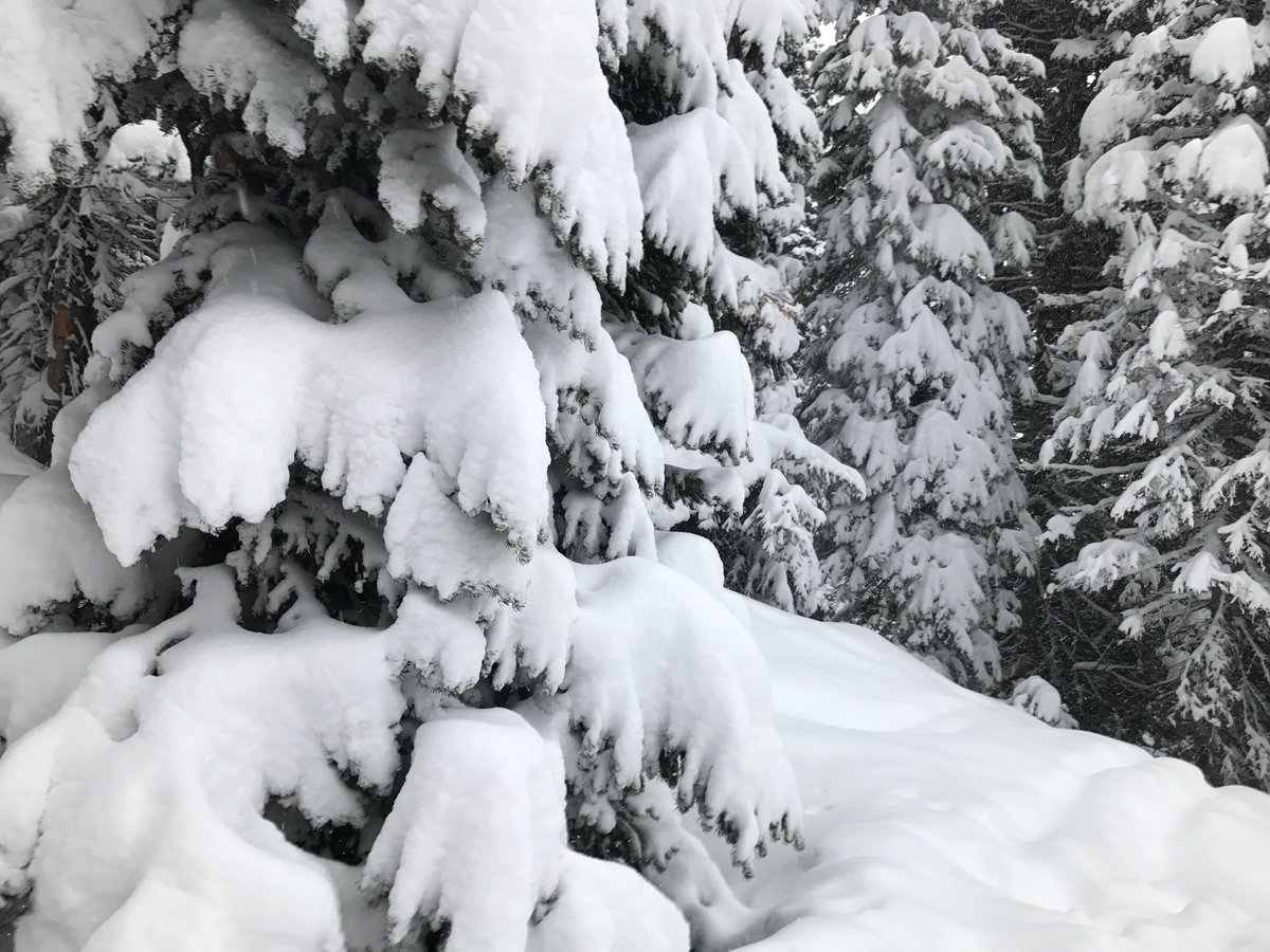 AdventureFcst's tweet photo. Best storm of the season so far for #JacksonHole. 24-hour #snow totals, 16" Jackson Hole, 10" #GrandTarghee, 8" #SnowKing, and 5-6" in the valley. #powderday #skiing
https://t.co/xBaXKW8iJd https://t.co/wPDoMv7wag