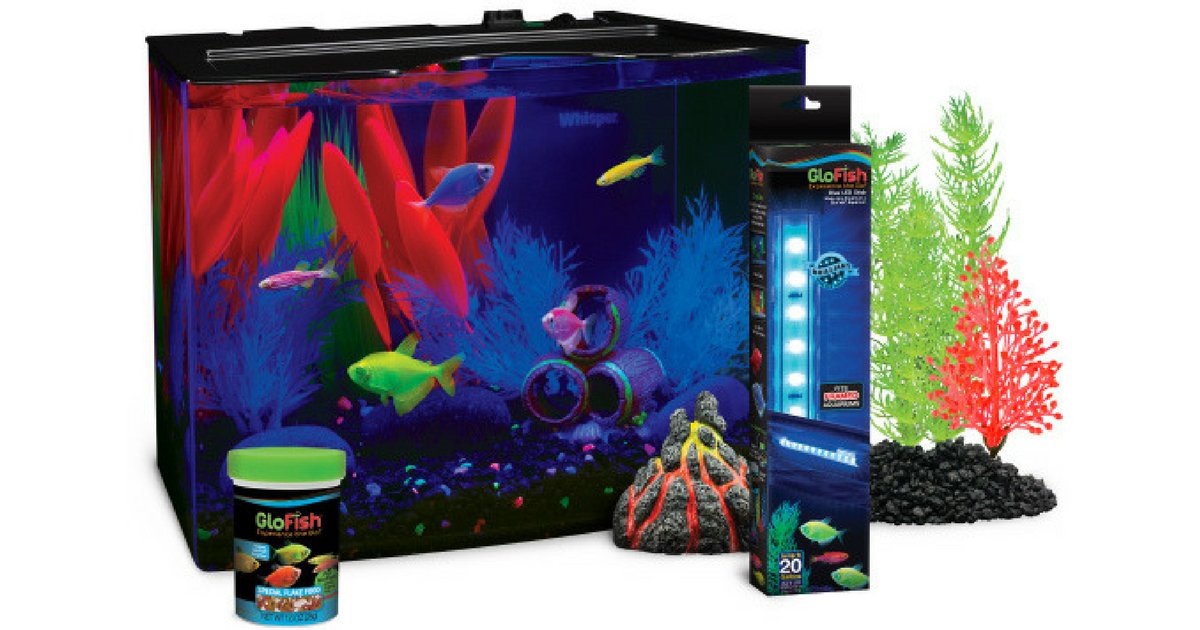 MacKidSouthLake's tweet photo. GloFish - The coolest thing to happen to fishkeeping since water! #ad #GloFishMK #ExperienceTheGlo - https://t.co/kXPE7sIK5g https://t.co/CmWAr0GLE8