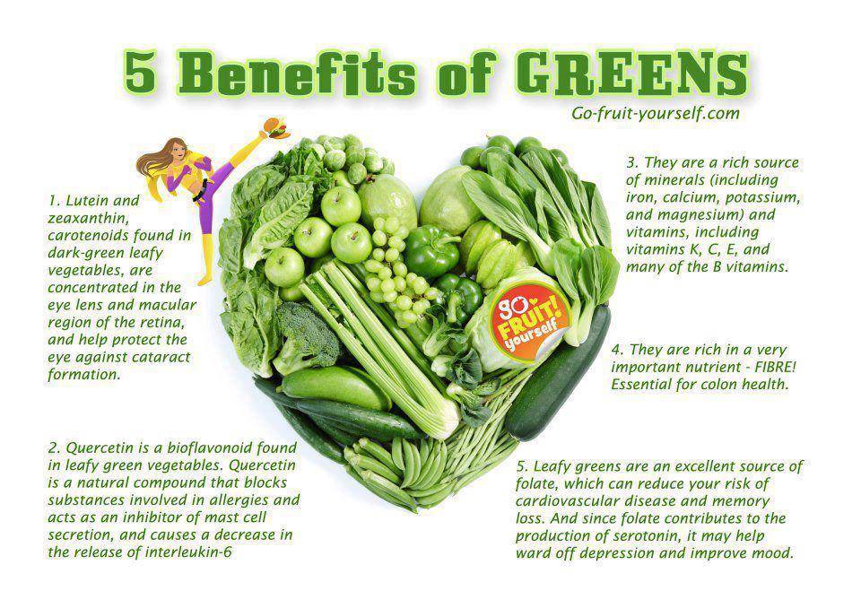 They like vegetables. Fruit benefits. Healthy benefit. Eat Green Vegetables. Health benefits.