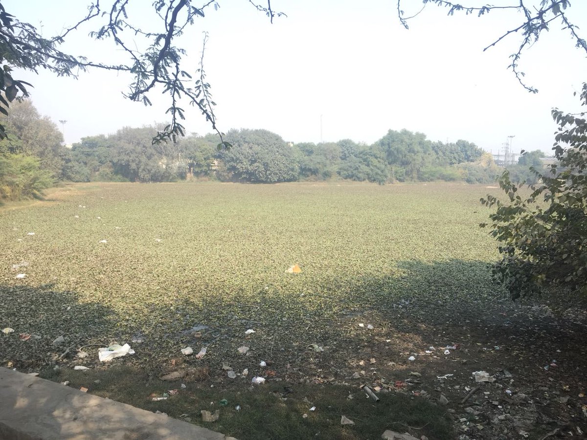 AkashDabas17's tweet photo. @narendramodi clean IndIA latest pic ..no work in our native villege pooth khurd Delhi 110039 https://t.co/4SUXAgx3qe