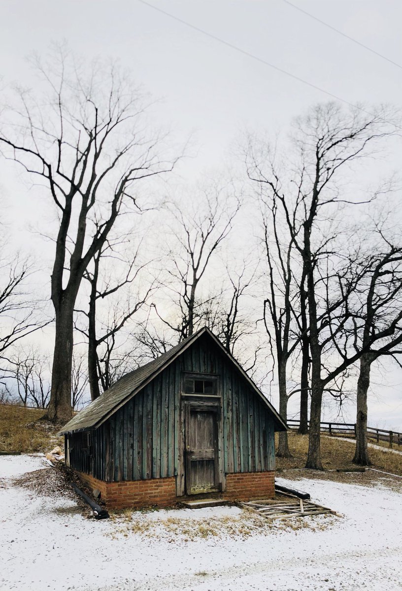 anupshesh's tweet photo. I won't mind spending my life in this cabin 🏕 #nomadlifestyle
.
.
.
#cabinlife #outdoorslife #outdoorsnomad #outdoorsman #primitivelife #primitiveliving #minimalism #nomaterialism #simpleliving #livinglifecabinsize #traveler #globetrotter #explorer #travelstories #travelpreneur https://t.co/vfKcQ86Is6