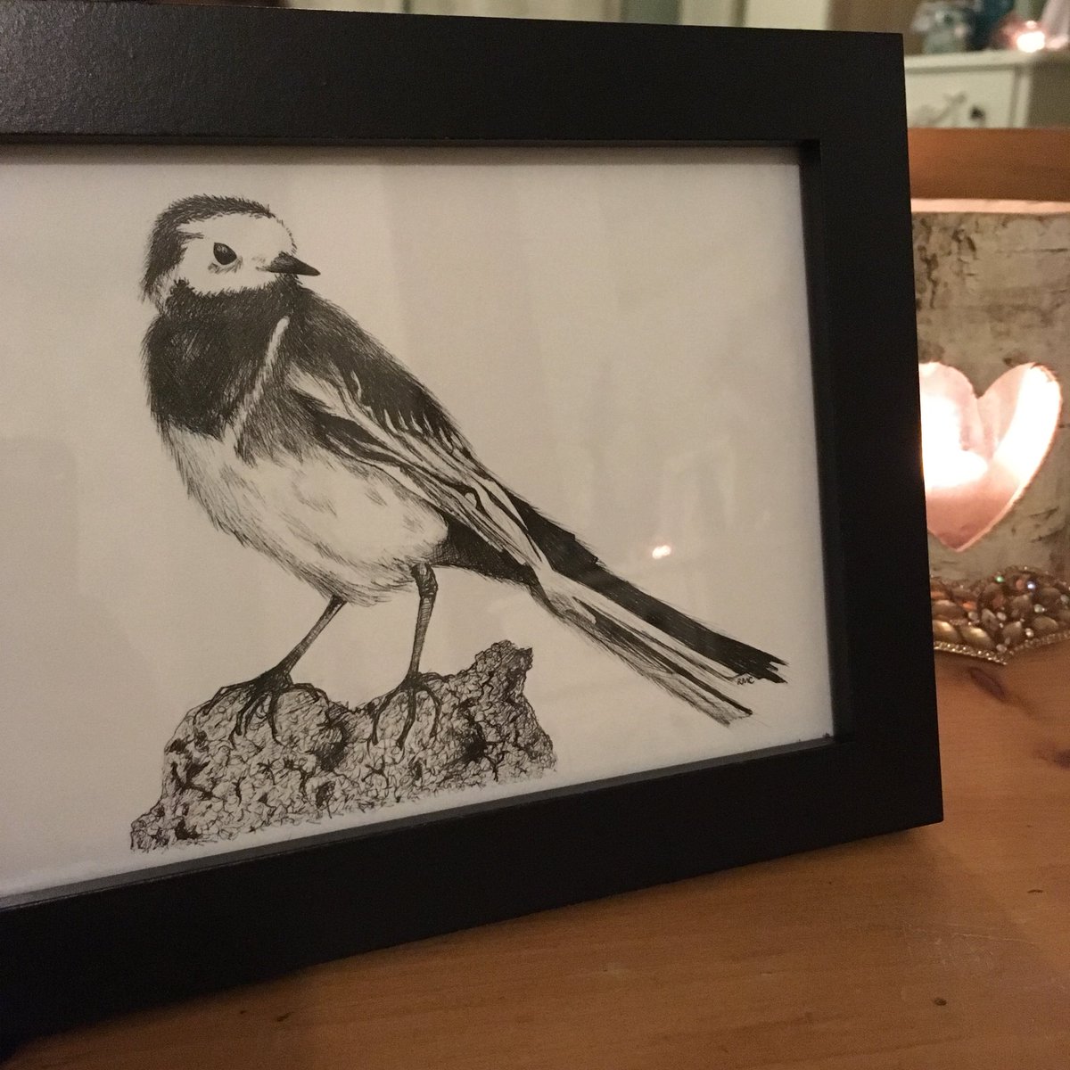 Nested_Robin's tweet image. Happy 30th Birthday to the one and only Chrissie Broadway! Here’s a pied wagtail I sketched for her a little while back which has personal significance to her and her lovely family