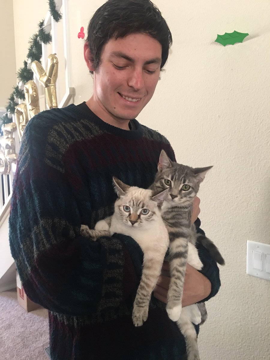 CasualFridayCA's tweet image. I think it's time to show off the kitties we adopted after tour. Meet Jaq and Olive, brother and sister. ❤️
