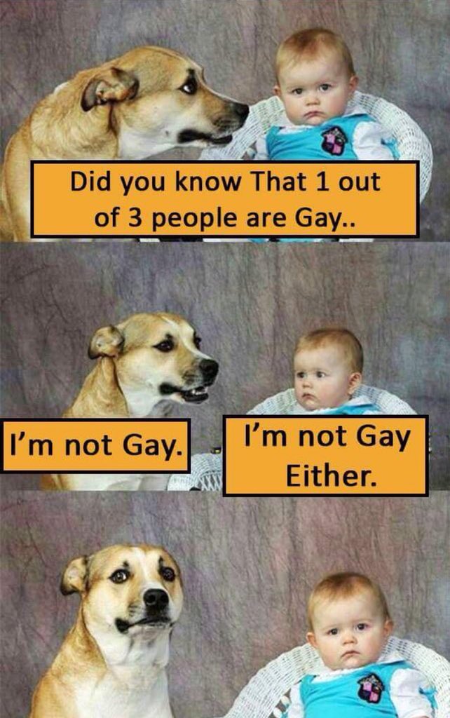 1 out of 3 people are gay