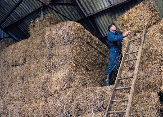 nfum's tweet image. Do you or someone you care about work on a farm? We know the importance of #FarmSafety - next week we need farmers &amp;amp; their families, friends &amp;amp; supporters to make a #PledgeForChange. RT to spread the word &amp;amp; DM us to find out how you can help.