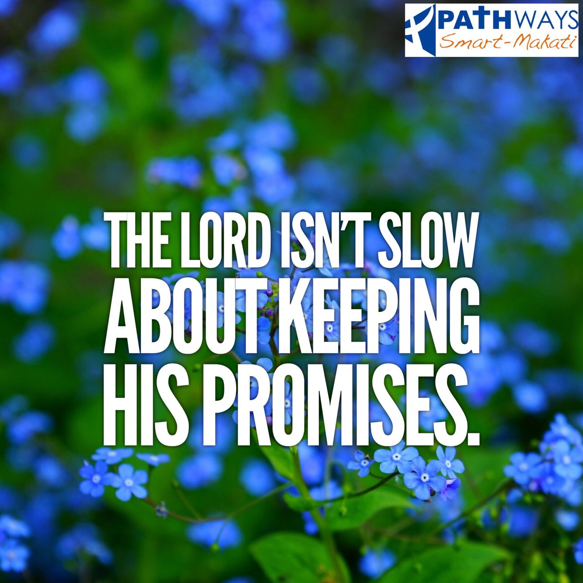 PathwaysSmart's tweet photo. Just trust His ways 💕 #DailyDelights #PathwaysSmart #WhereGodMeetsYouWhereYouAre #InHisTime https://t.co/d02gITnniD