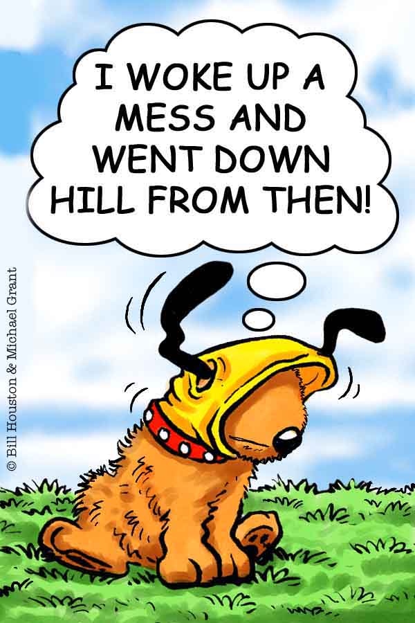 hackmanthedog's tweet photo. I don't think it's just Hackman feeling like this after a very long week!
#fridayfeelings #friyay #weekend #rougharoundtheedges #ruffday #spaniel #dogsoftwitter #petsoftwitter #comic #comicart #comicbook #art #illustration https://t.co/cVAvekfg5c