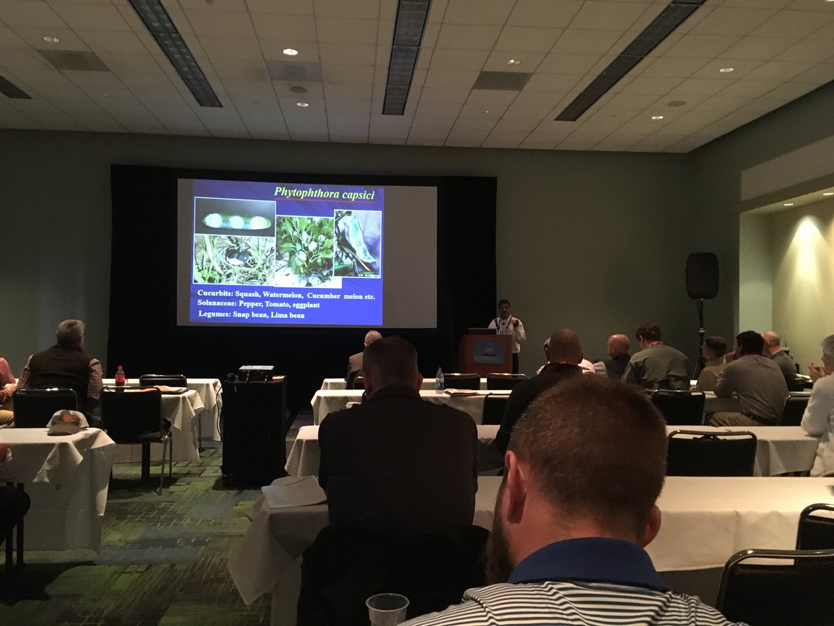 VGN_News's tweet photo. Now hearing about best practices for reducing the impact of Phytopthora with Shaker Kousik of @USDA ARS #SERegional18 #SERFVC https://t.co/yT3MhlWF05
