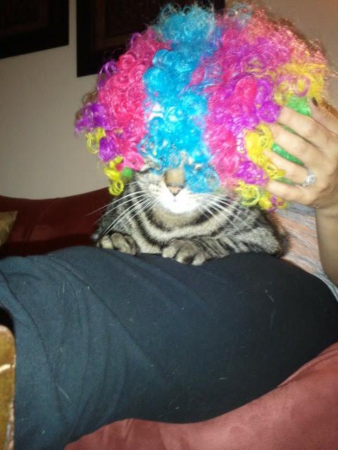 Okay so maybe @taylordawnmodel can make me smile a little.  Thanks for sending the photo😚 https://t.<a class="tags" href="/tag/taylordawnmodel">@taylordawnmodel</a>