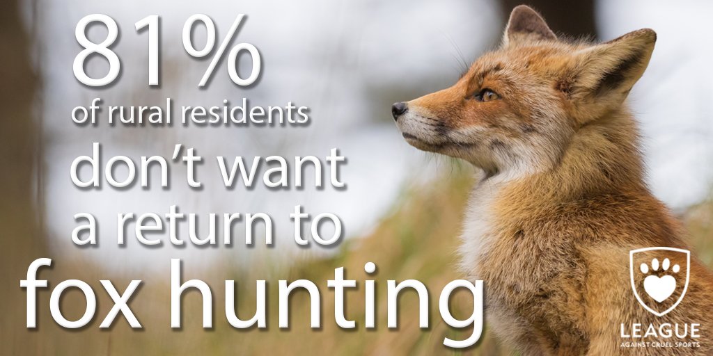LeagueACS's tweet image. "Despite what the hunts say, it’s not only the ‘townies’ who oppose blood sports but people in the countryside too" RT if you're one of the 81%
