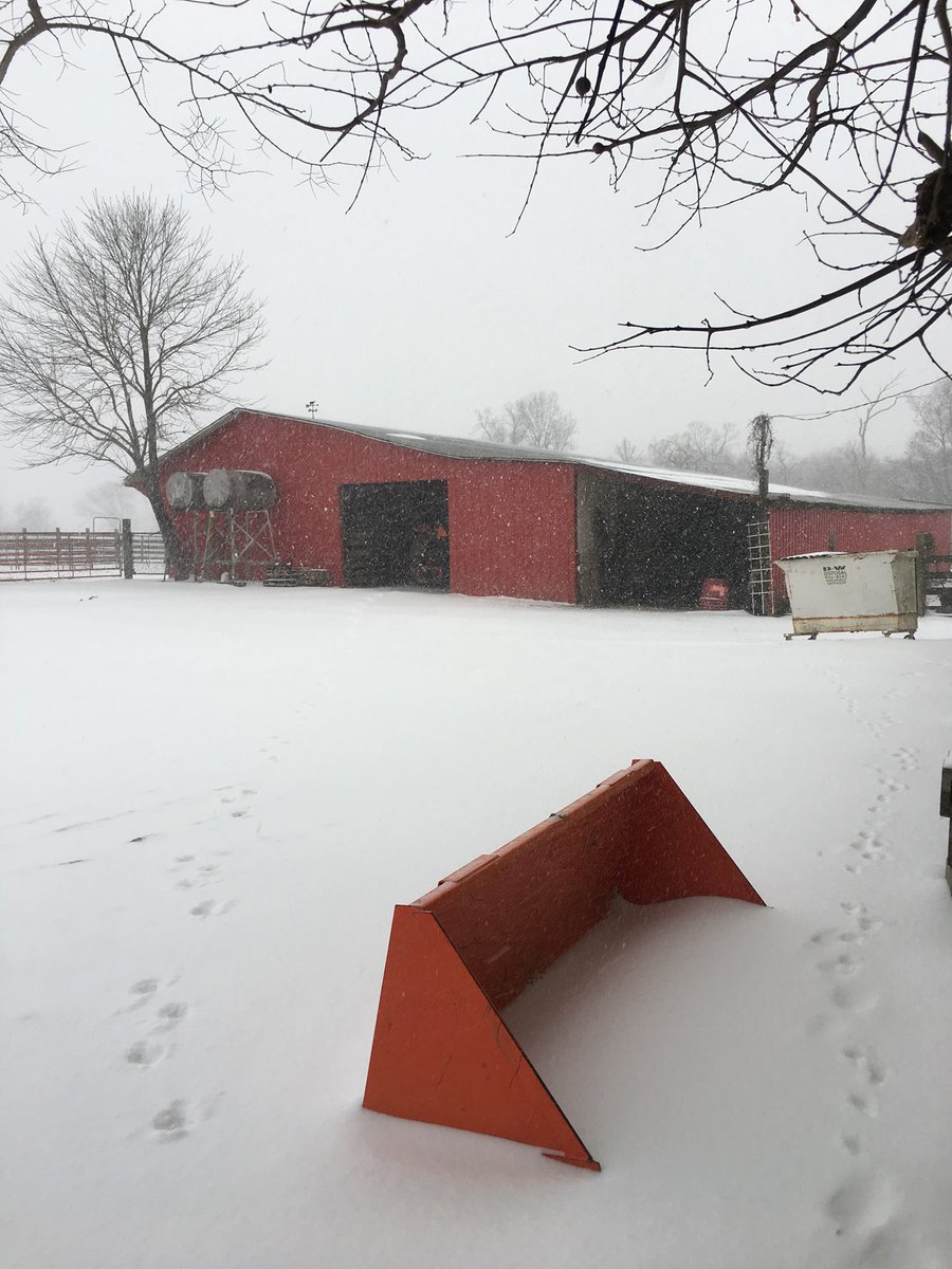 BeauDodson's tweet photo. #tristatewx @NWSPaducah #snow1/12/18 Ozark, IL. Photographer Kathy Krause Kunath-Harris https://t.co/nxXqmJlGSt