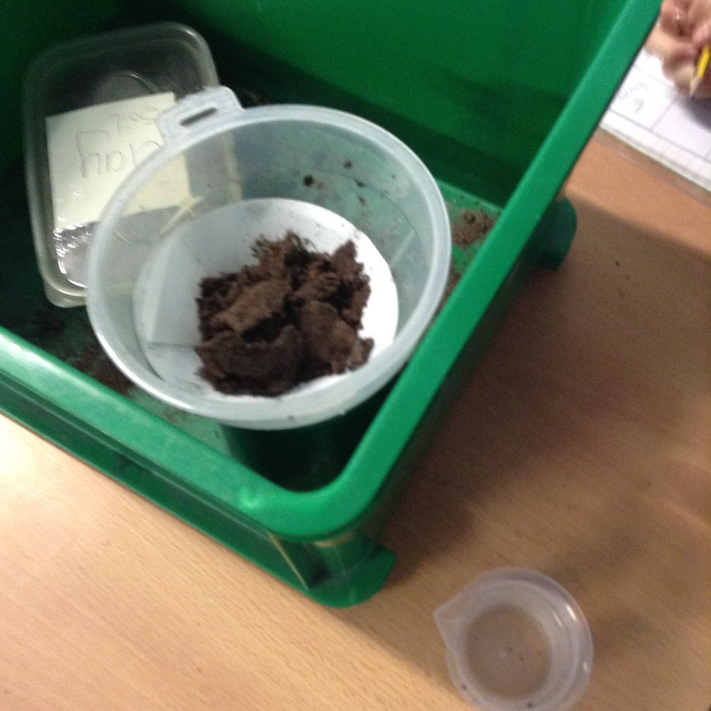 latimerprimary's tweet image. Year 3 Class PK have been investigating soil permeability in science. #classPK #Latimerscience