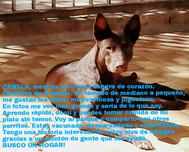 Mike Medina Armenta (@mikemedina75) on Twitter photo 