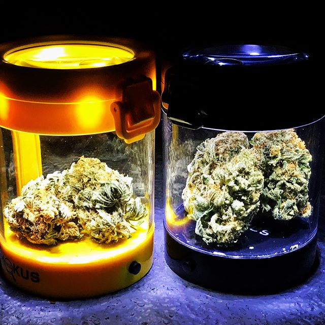 What's in your jar? #smokusfocus #stayfocused #focusonmystash