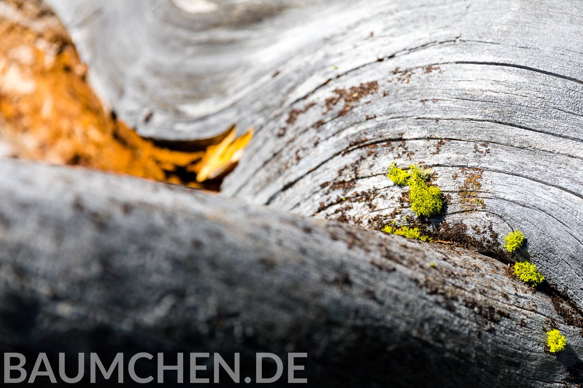 Ralf Sangl tweet media