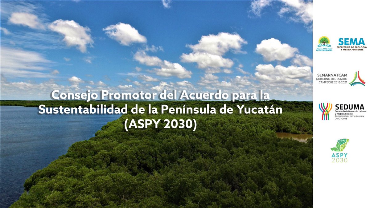 ASPY2030's tweet photo. ¿Te interesa promover el desarrollo sostenible en la Península de Yucatán? Súmate al Consejo Promotor #ASPY2030 Convocatoria para universidades, sociedad civil, empresas y personas físicas abierta hasta 31 de enero https://t.co/qIoYg4xUjI 🌱@SEMARNATCAM @semaqroo @sedumayucatan https://t.co/IfxPWbnCqC