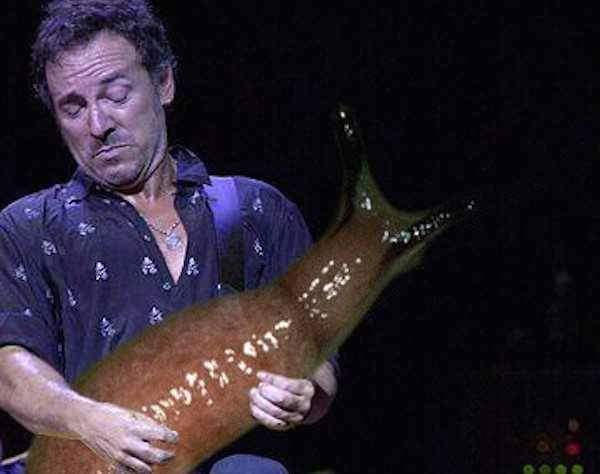 _gansanrousis's tweet photo. Cuando reemplazas las guitarras por babosas las fotos pasan a tener más sentido. https://t.co/aHlpNLfjZe