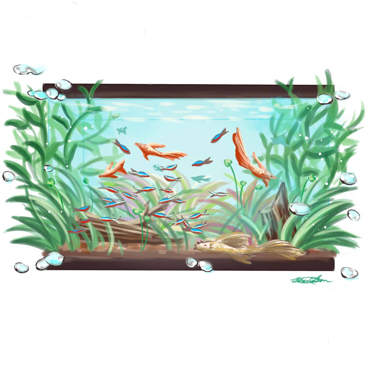 fish aquarium drawing for kids/how to draw an fish aquarium/ easy fish  drawing/ how to draw fish - YouTube