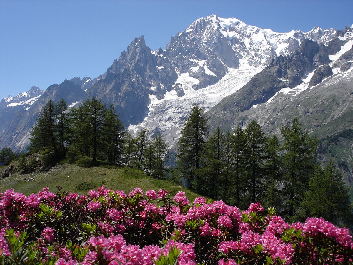 albertlaniece tweet picture