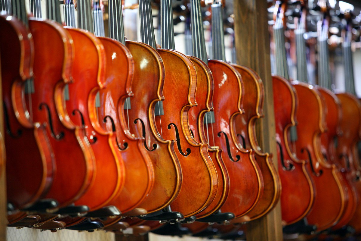 musicwholesale's tweet photo. #violinteacher #violin #wholesaleviolin #violinsupplier #schoolmusicprogram Get all of your Violins, Violin Accessories WHOLESALE. Why pay retail? With a tax id, you can buy #wholesale and re-sell to #schoolsmusicprograms https://t.co/XH6trFqhz7