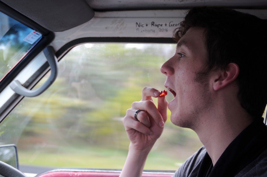 TwoandBackBlog's tweet image. Hey, everyone! Please, if you can, take a minute to read this and tell us what you think.… twoandback.com/ioughtawriteal…