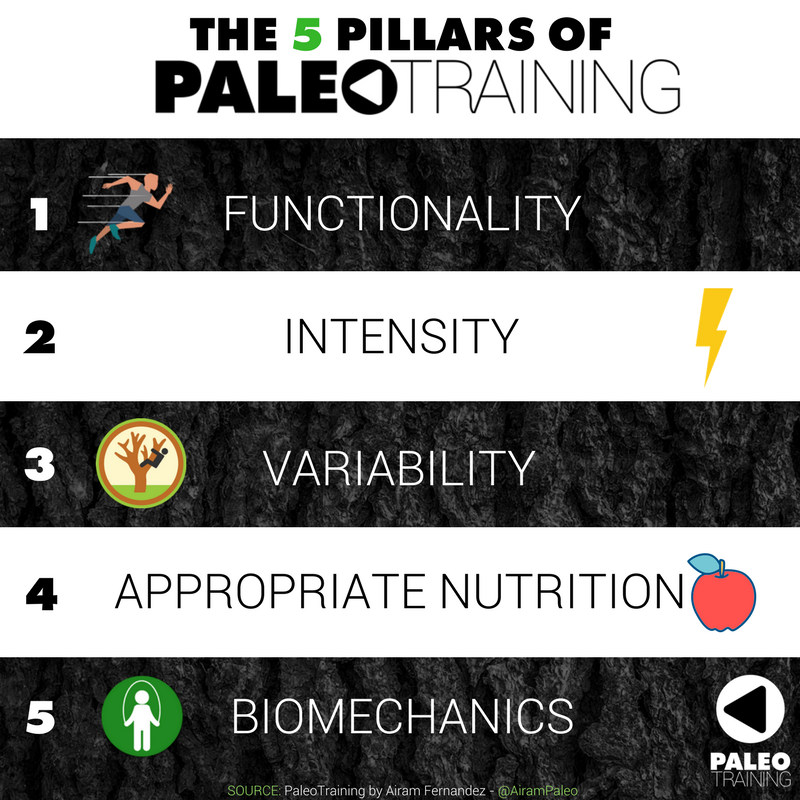 airampaleo's tweet photo. Have you heard about #PALEOTRAINING? 
Here are the 5 pillars: https://t.co/Hg6FeEfnwv #Paleo #paleodiet https://t.co/s6wL1W1tPy