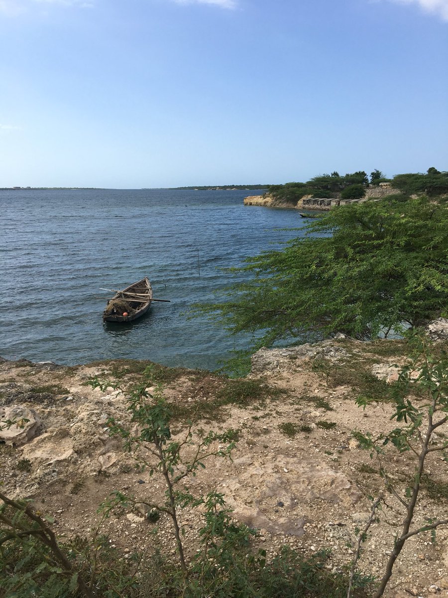 s_p_williams's tweet image. I try not to be angry when people speak from ignorance. But I’m struggling this time. Haiti has shown me more beautiful places and people than much of what I’ve seen recently here. #ThisIsHaiti