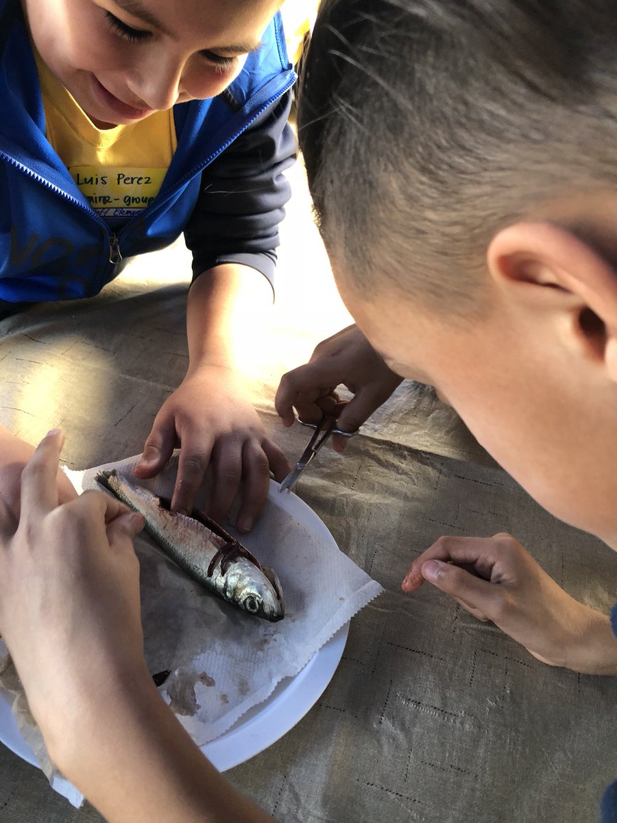 saffon25's tweet photo. BOTB field trip to the Living Coast Discovery Center! https://t.co/duNVsqlaMo