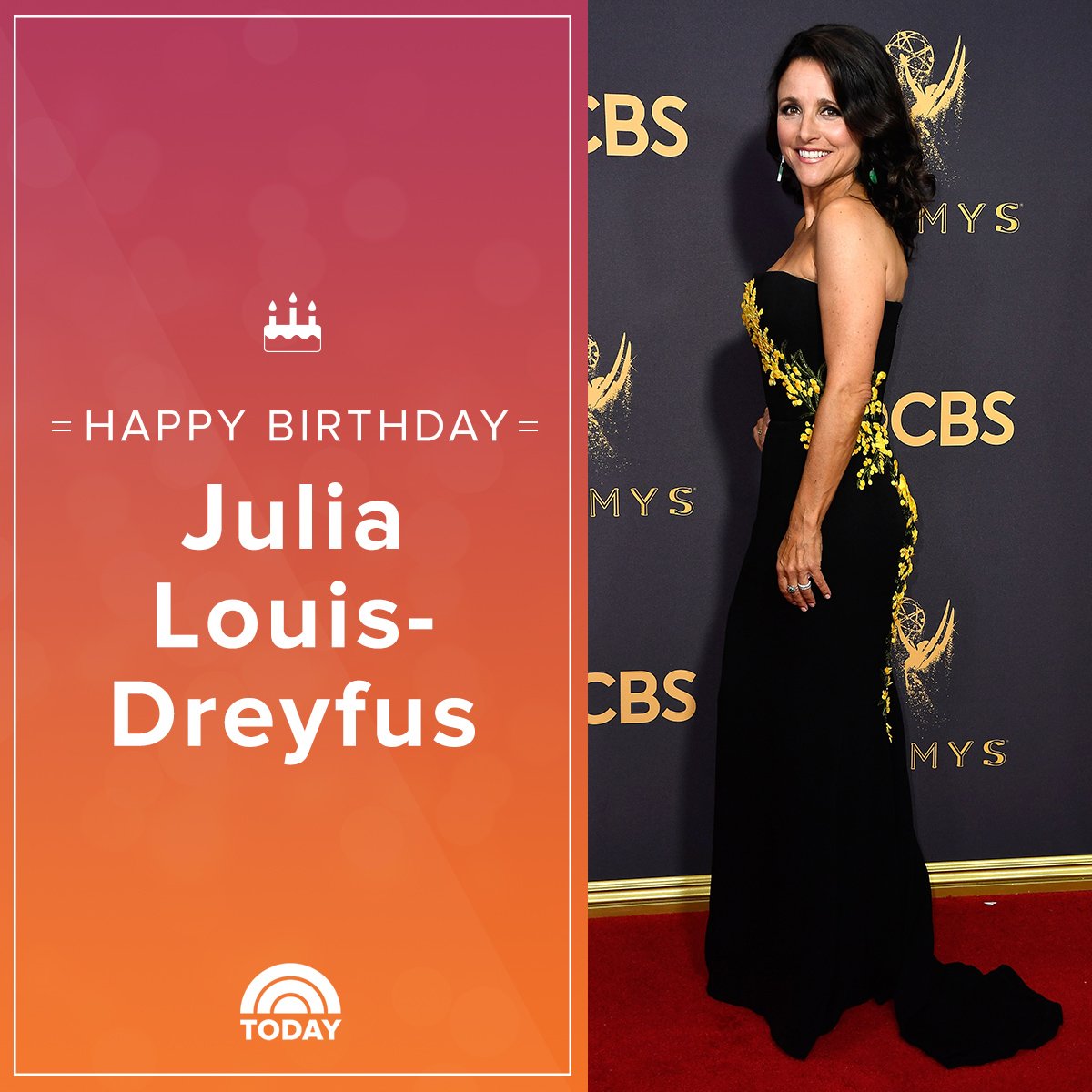 Happy birthday to the lovely Julia Louis-Dreyfus!  